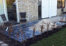 Buiten Gewoon - Ludema  Om de Noard - Schiermonnikoog 